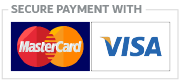 pay-with-visa